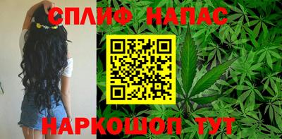 Альфа ПВП Славгород