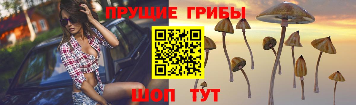 Псилоцибиновые грибы ЛСД Новоуральск